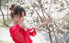 街道办回应多名男子被女子砍伤